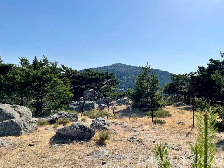 Cabeza Lijar EA1/SG-017 2021